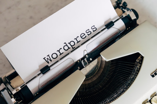 WordPress eCommerce Website examples